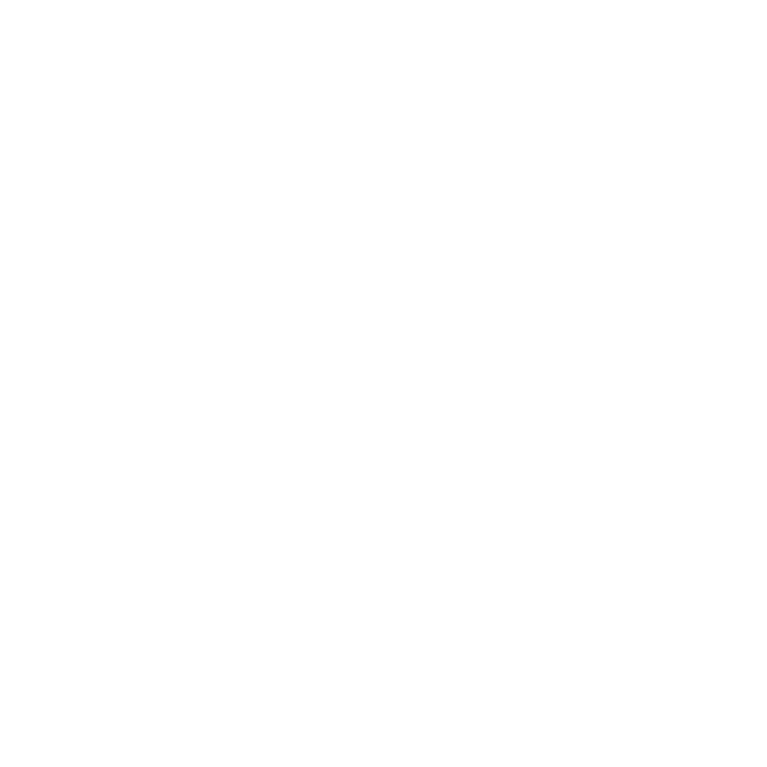 Logo di Lili Web Studio